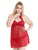 Plus Sheer Contrast Lace Mesh Dress With Panty