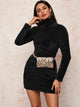 Solid High Neck Fitted Teddy Dress Without Bag