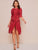 Sheer Lace Ruffle Trim Asymmetrical Hem Dress