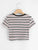  Ribbed Striped Crop Tee