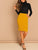 Slim Fit Pencil Skirt