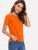 Scallop Edge Solid Top