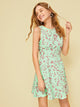 Ditsy Floral Print Skater Dress