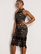 Back Guipure Lace Dress