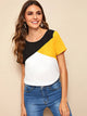 Cut-and-sew Short Sleeve Top