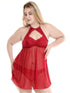 Plus Sheer Contrast Lace Mesh Dress With Panty