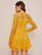 Sheer Yoke Guipure Lace Overlay Skater Dress