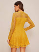 Sheer Yoke Guipure Lace Overlay Skater Dress
