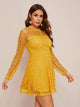 Sheer Yoke Guipure Lace Overlay Skater Dress