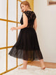 Plus Contrast Lace Sheer Mesh Dress