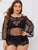 Plus Floral Lace Long Sleeve Dress & Thong
