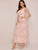 Polka-dot Embroidered Mesh Overlay Layered Hem Dress
