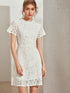 Zip Back Guipure Lace Overlay Fitted Dress