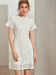 Zip Back Guipure Lace Overlay Fitted Dress
