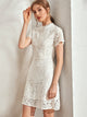 Zip Back Guipure Lace Overlay Fitted Dress