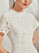 Zip Back Guipure Lace Overlay Fitted Dress