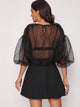 Swiss Dot Mesh Bodice Puff Sleeve Dress