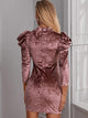 Mock Neck Ruched Velvet Bodycon Dress