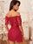 Floral Lace Sheer Mesh Dress