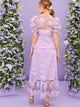 Puff Sleeve Ruffle Trim Embroidered Mesh Overlay Dress