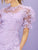 Puff Sleeve Ruffle Trim Embroidered Mesh Overlay Dress