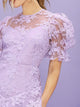 Puff Sleeve Ruffle Trim Embroidered Mesh Overlay Dress